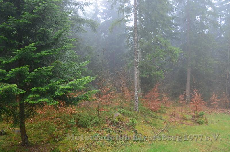 Schwarzwald 2013 - 036.JPG